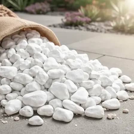 5kg Pedra Dolomita Branca Para Vaso Planta Jardim Canteiros Branco 2 Cm 5 Cm