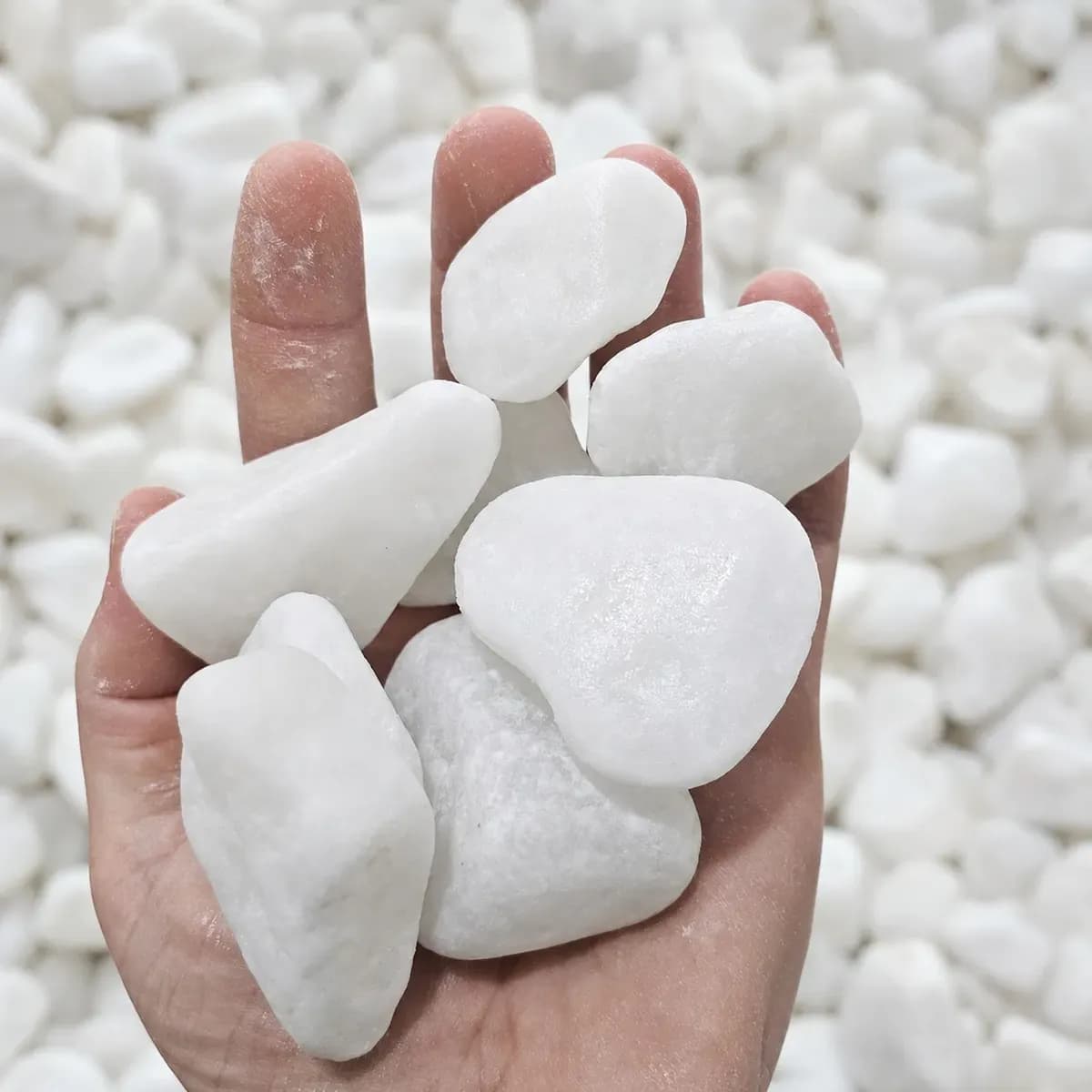 5kg Pedra Dolomita Branca Para Vaso Planta Jardim Canteiros Branco 2 Cm 5 Cm