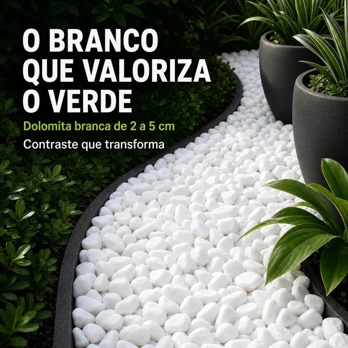 5kg Pedra Dolomita Branca Para Vaso Planta Jardim Canteiros Branco 2 Cm 5 Cm