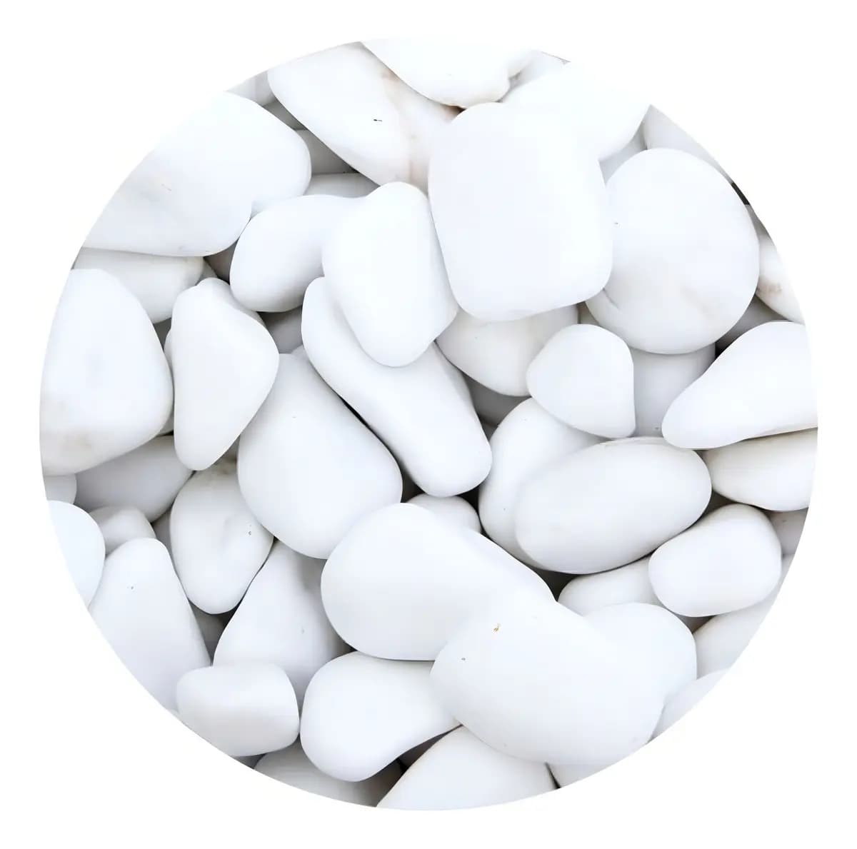 Pedra Dolomítica Cálcario Terra Nobre Branca 3.5-6.5cm Seixo Jardim 1kg Branco 3.5 Cm 6 Cm