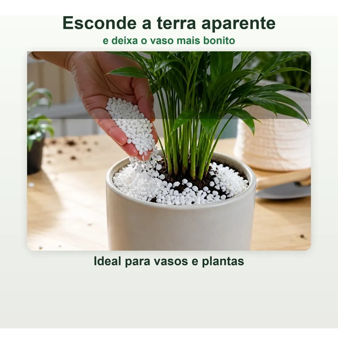 10kg Pedras Ornamentais Pedrisco Branco Pedras P Jardim Nº 1 Branco 1 Mm 1.27 Cm