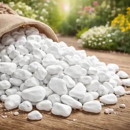 10kg Pedra Branca Dolomita Para Vasos Jardim E Paisagismo Branco 2 Cm 5 Cm