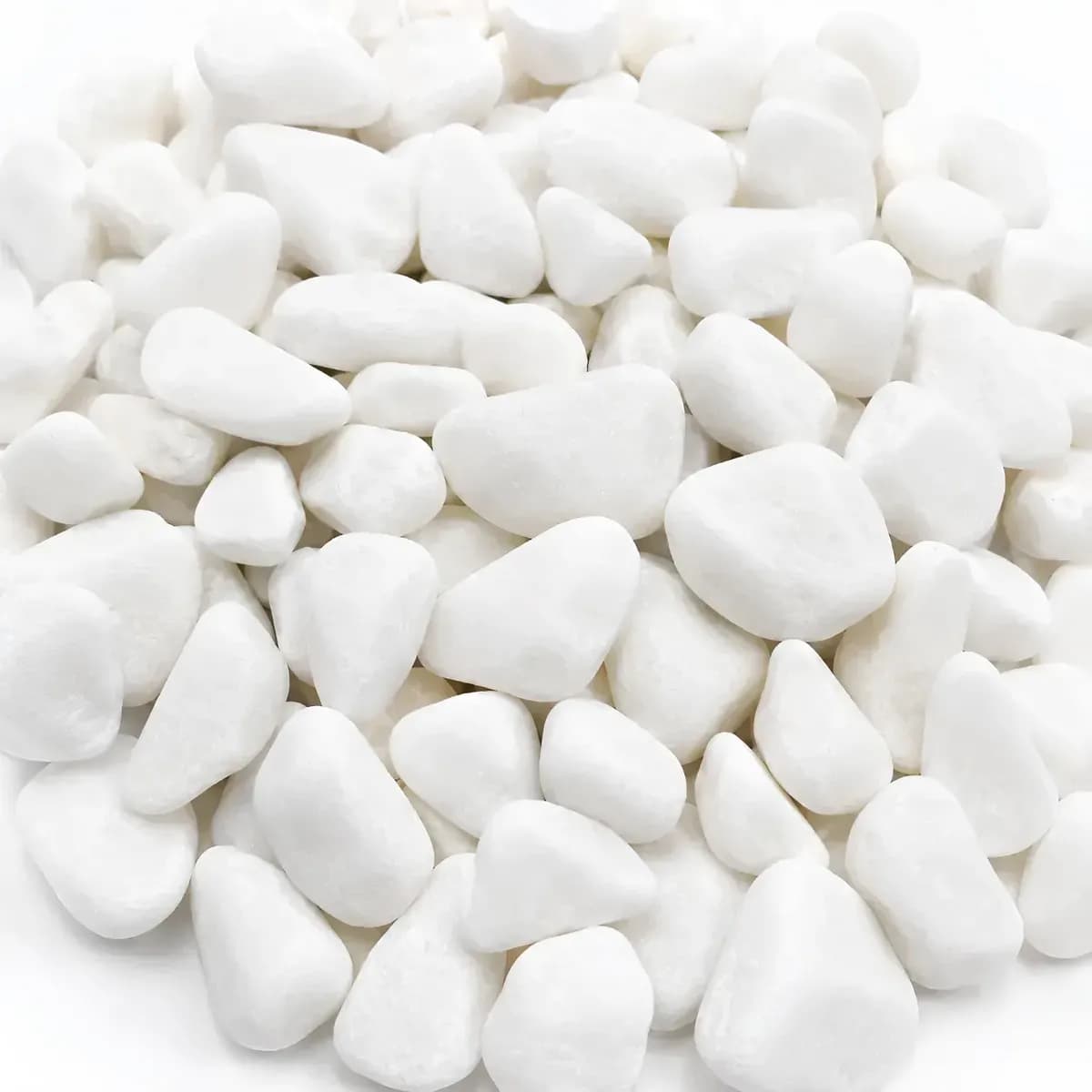 10kg Pedra Dolomita Branca Natural Para Aquário E Ciclídeos Branco 2 Cm 5 Cm