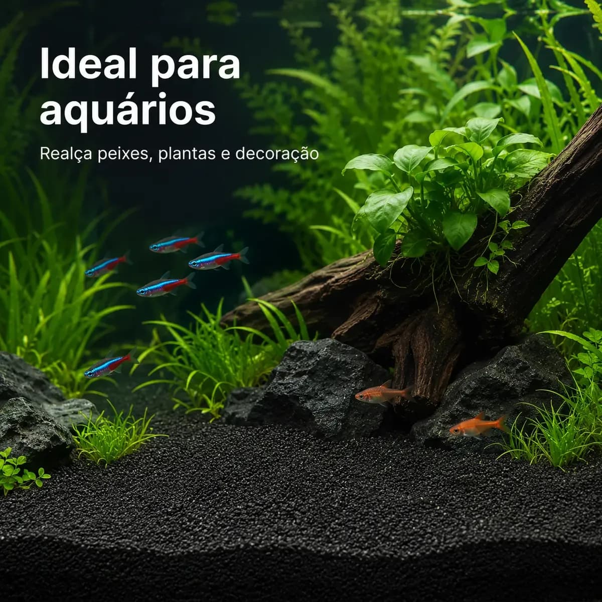 10 Kg - Substrato Areia Preta Basalto Natural Aquário N°00