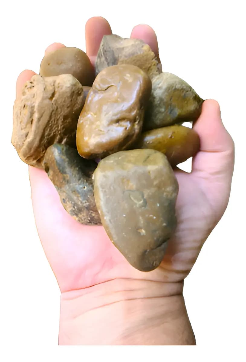 Seixo De Rio Natural Marrom Pedra Para Jardim E Vasos 9,5kg Marrom 1 Cm 7 Cm