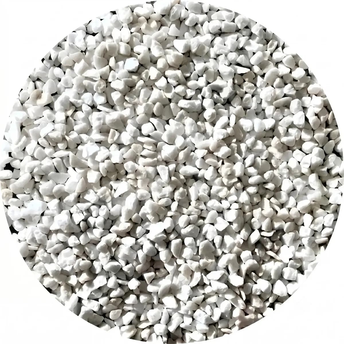 Pedrinha Branca Vaso Jardim Decoração Aquário Terrario 5kg. Branco 1 Cm 5 Cm