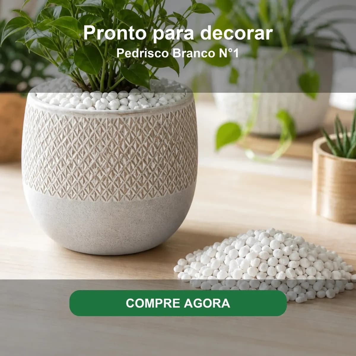 Pedrinha Branca Vaso Jardim Decoração Aquário Terrario 5kg. Branco 1 Cm 5 Cm
